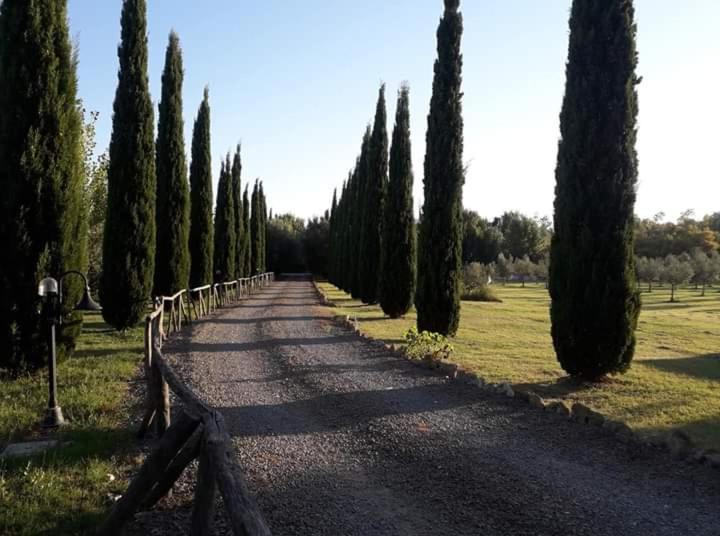 Agriturismo Lupo Cerrino Tarquinia Exterior photo