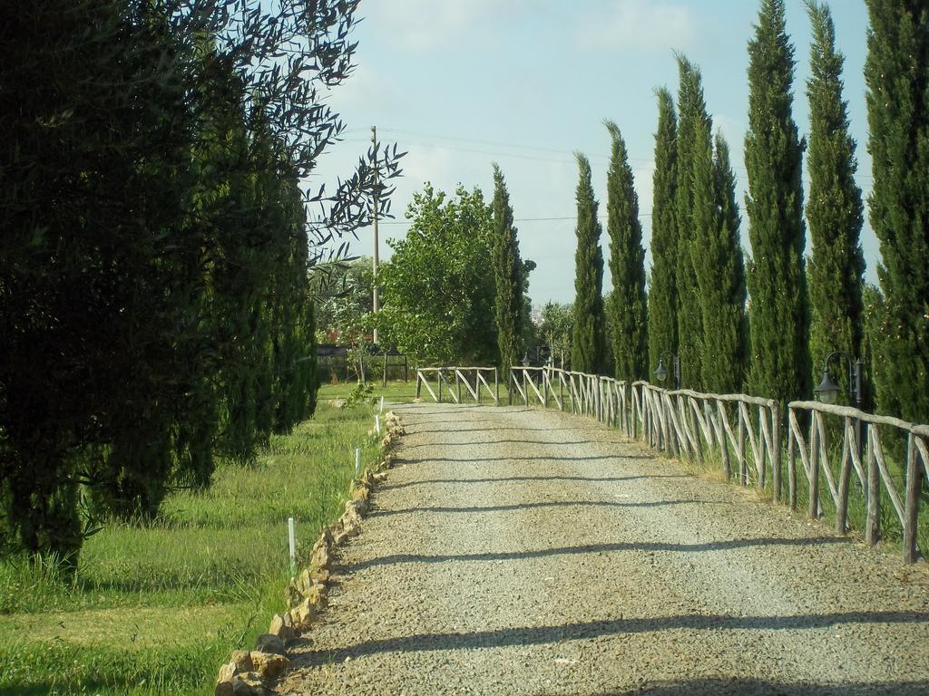 Agriturismo Lupo Cerrino Tarquinia Exterior photo
