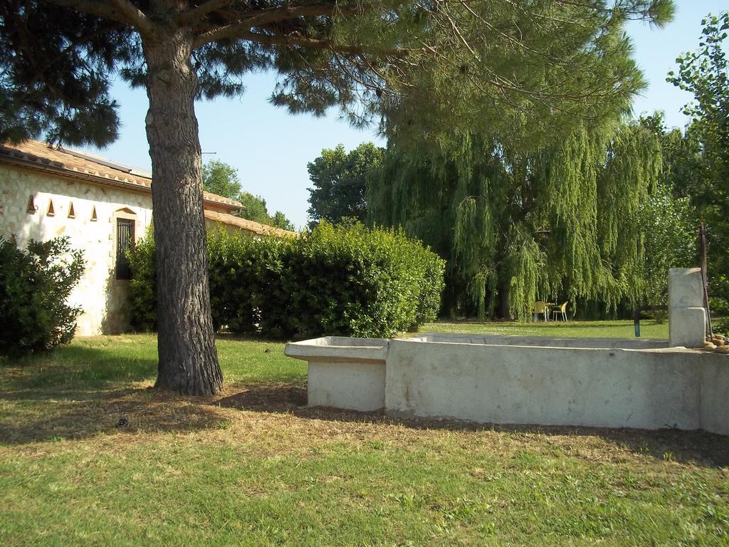 Agriturismo Lupo Cerrino Tarquinia Room photo